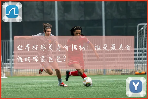 世界杯球员身价揭秘：谁是最具价值的绿茵巨星？