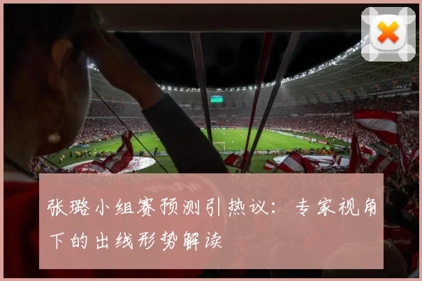 张璐小组赛预测引热议：专家视角下的出线形势解读